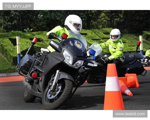 上海极限运动队快攻战术深度解析与实战应用探讨