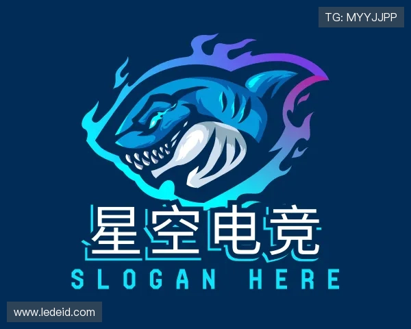 了解星空电竞官网